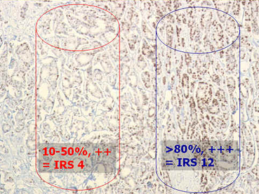 Pathodiagirs4