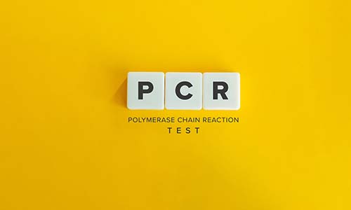 PCR Test