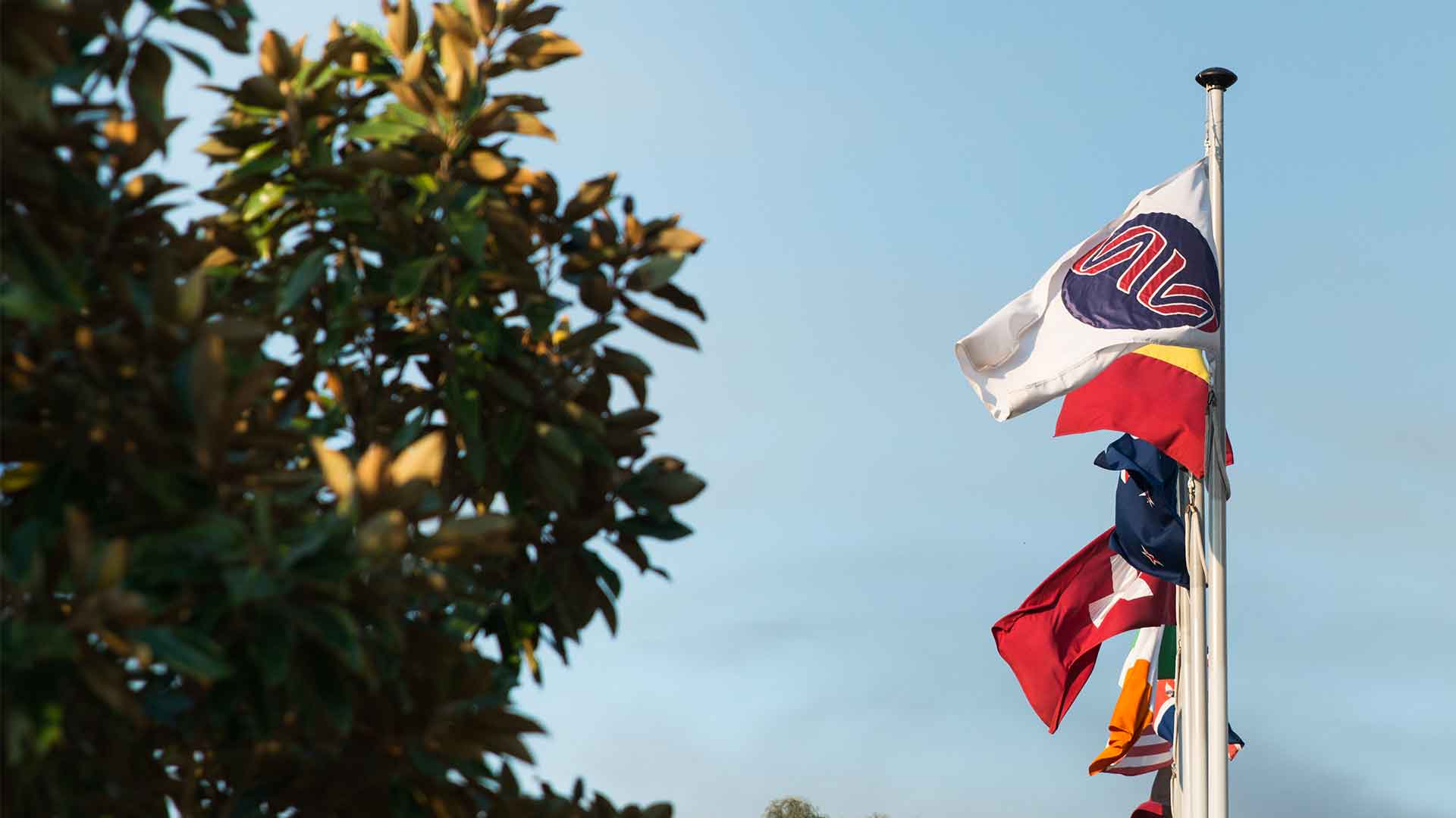 2610 Flags Site Image 1920X1080