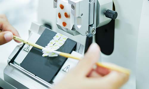Schnitte in der Pathologie