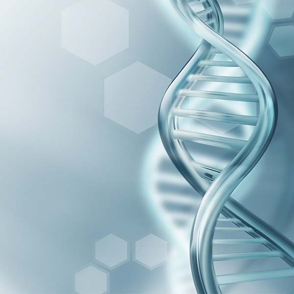 DNA Helix